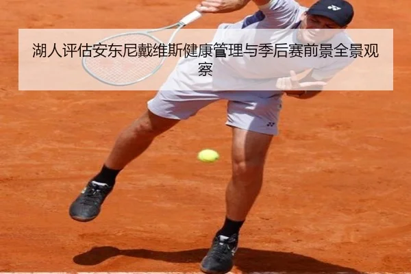 湖人评估安东尼戴维斯健康管理与季后赛前景全景观察