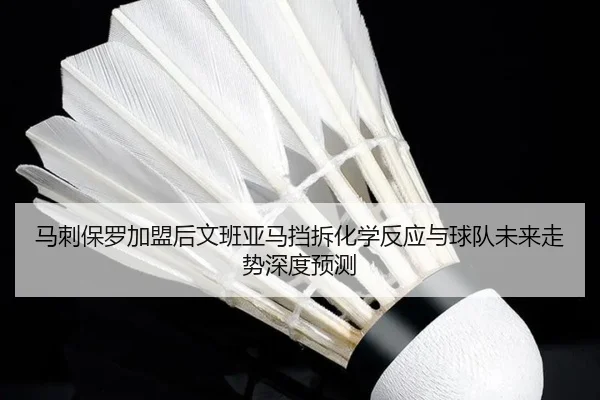 马刺保罗加盟后文班亚马挡拆化学反应与球队未来走势深度预测